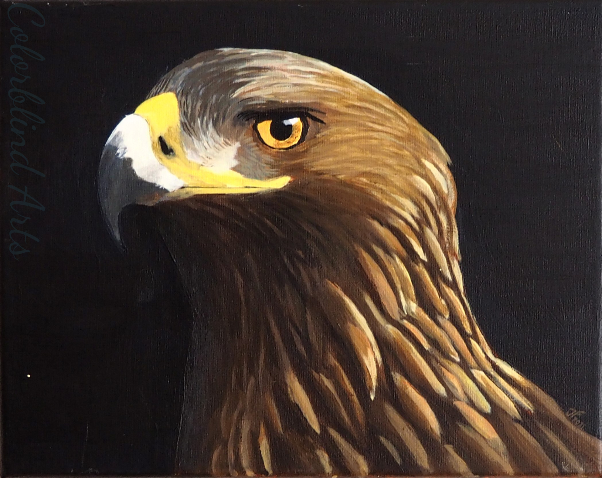 Golden Eagle